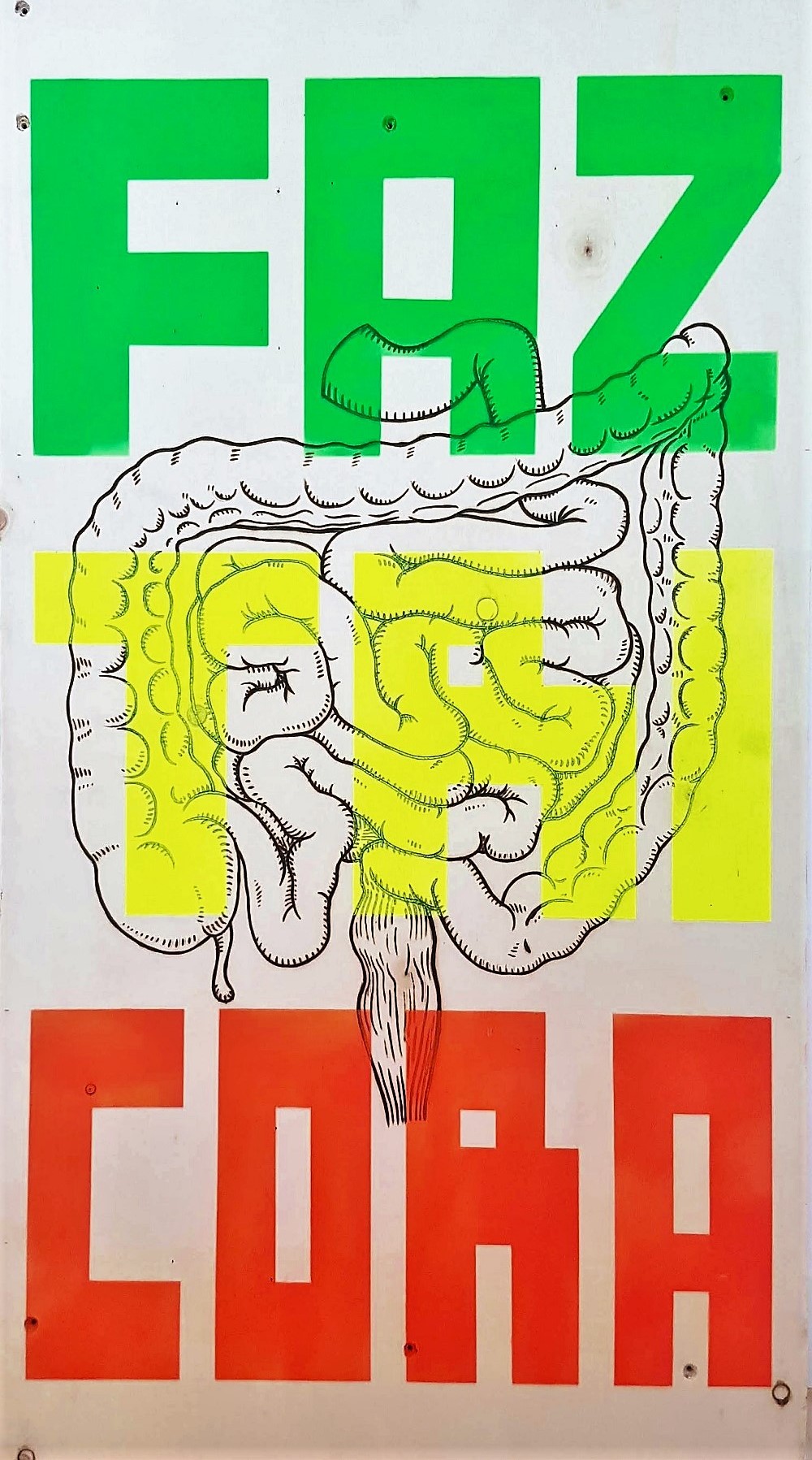 8 FAZDAS TRIPAS CORACAO (a)