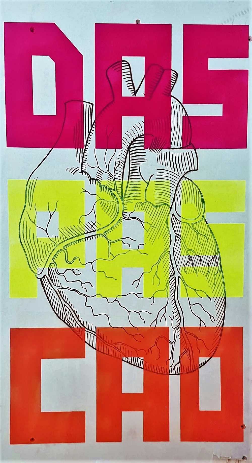 8 FAZDAS TRIPAS CORACAO (b)